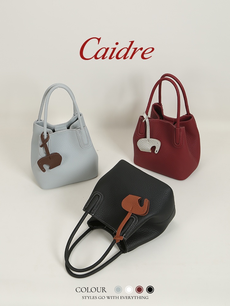 Caidre Luksusowa Torba Tote 20 – Luxury Bags Japan recenzja i cena